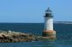 Explore the marine creatures that inhabit the tidepool on the rocky shore at Winter Island, Salem Massachusetts